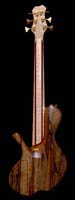 BBD 6 Fretless